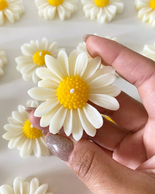 5 Piece Daisy Candle
