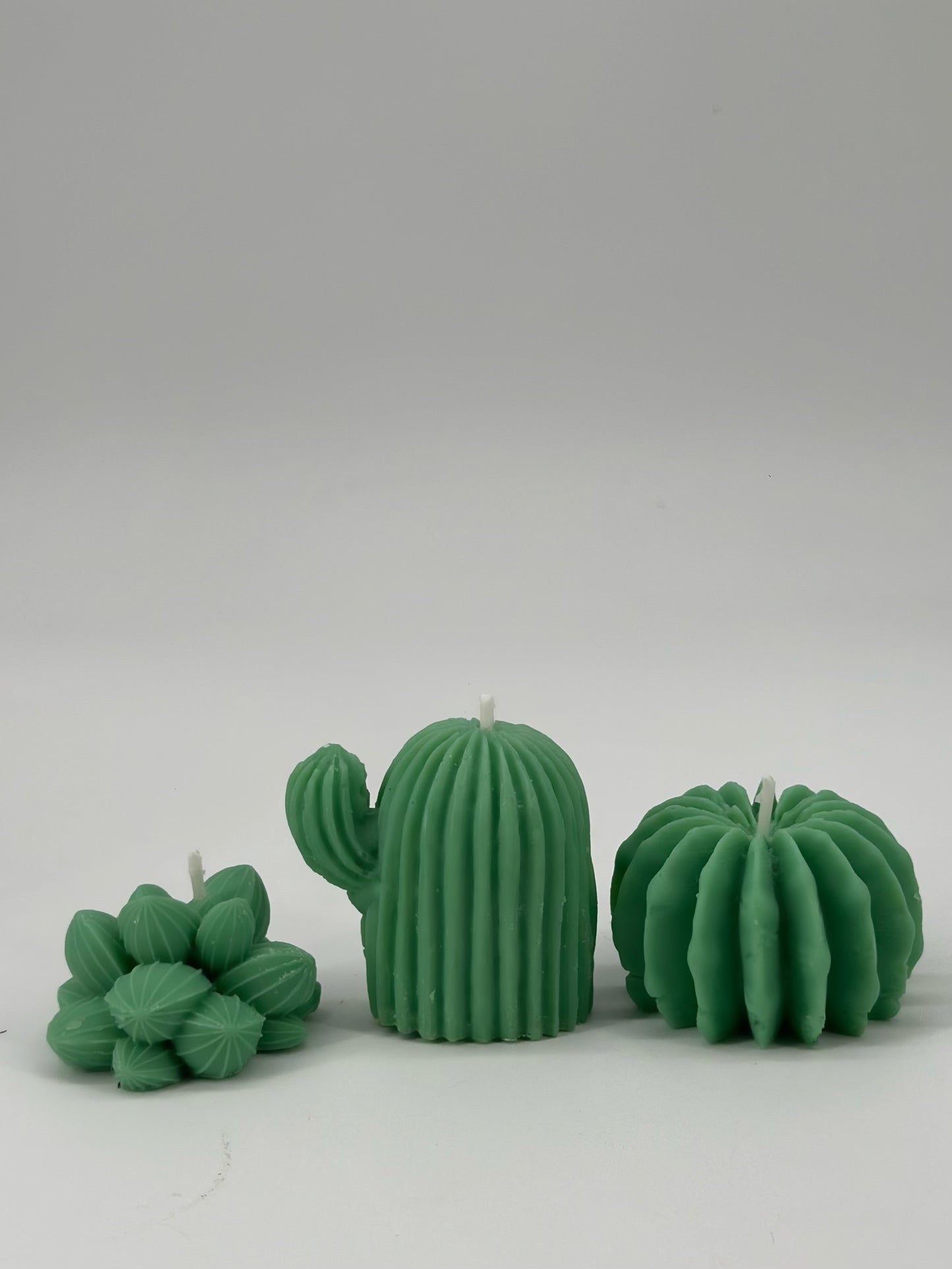 Cacti Trio Pack Candle