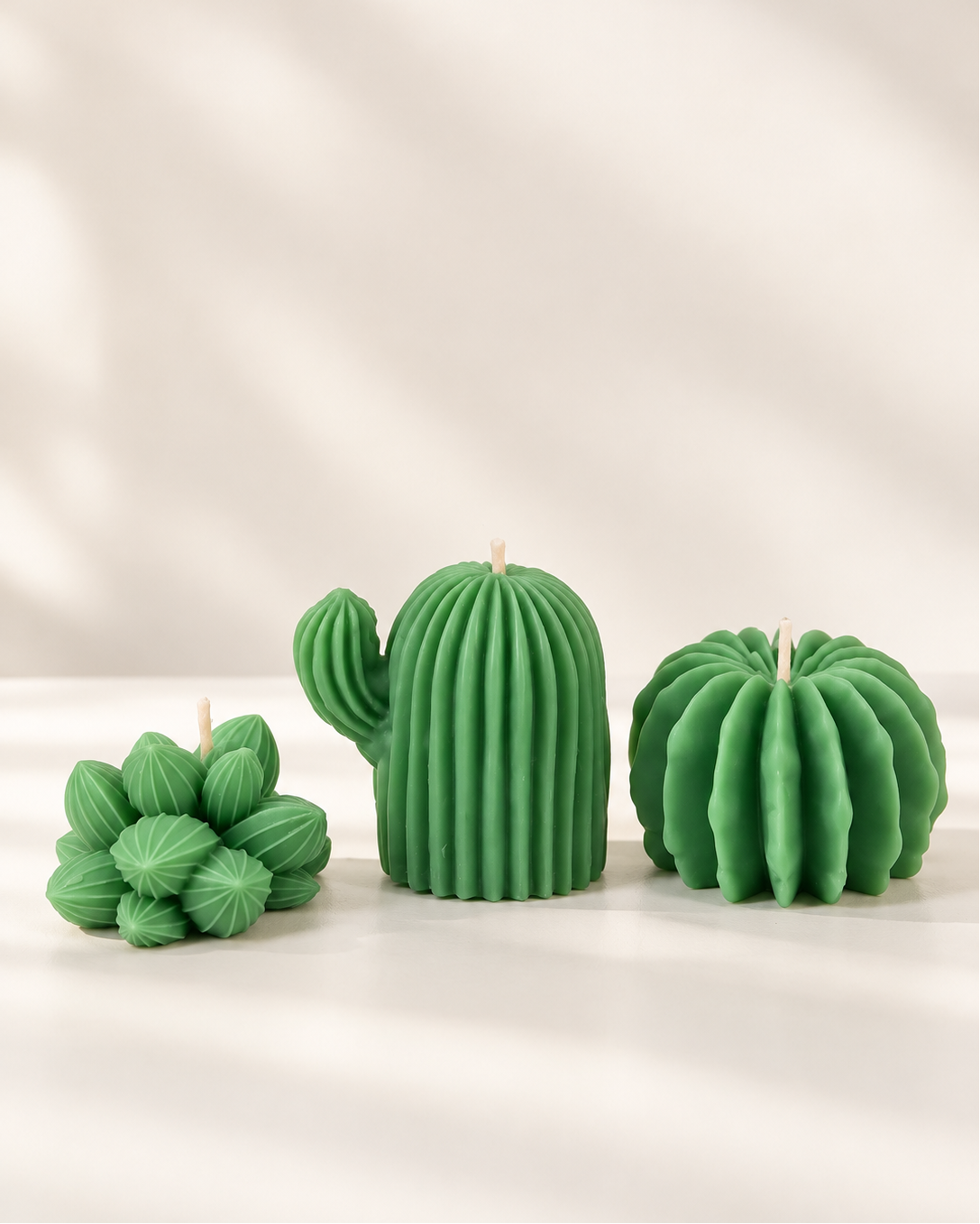 Cacti Trio Pack Candle