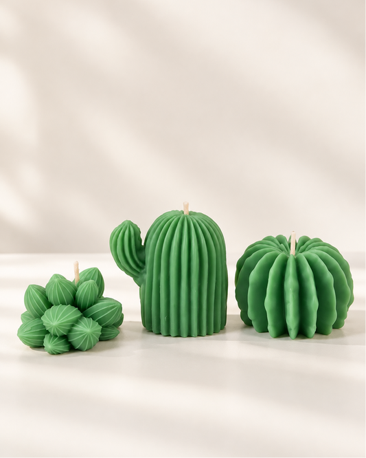 Cacti Trio Pack Candle