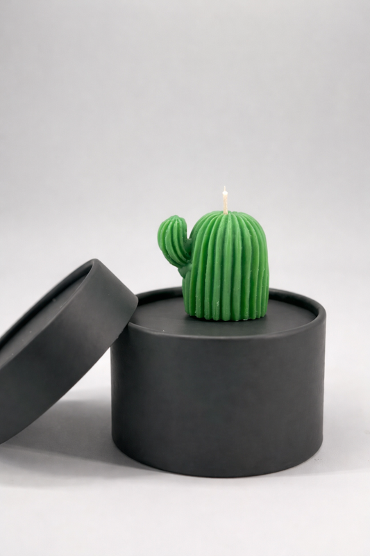 Cacti Opuntia Candle