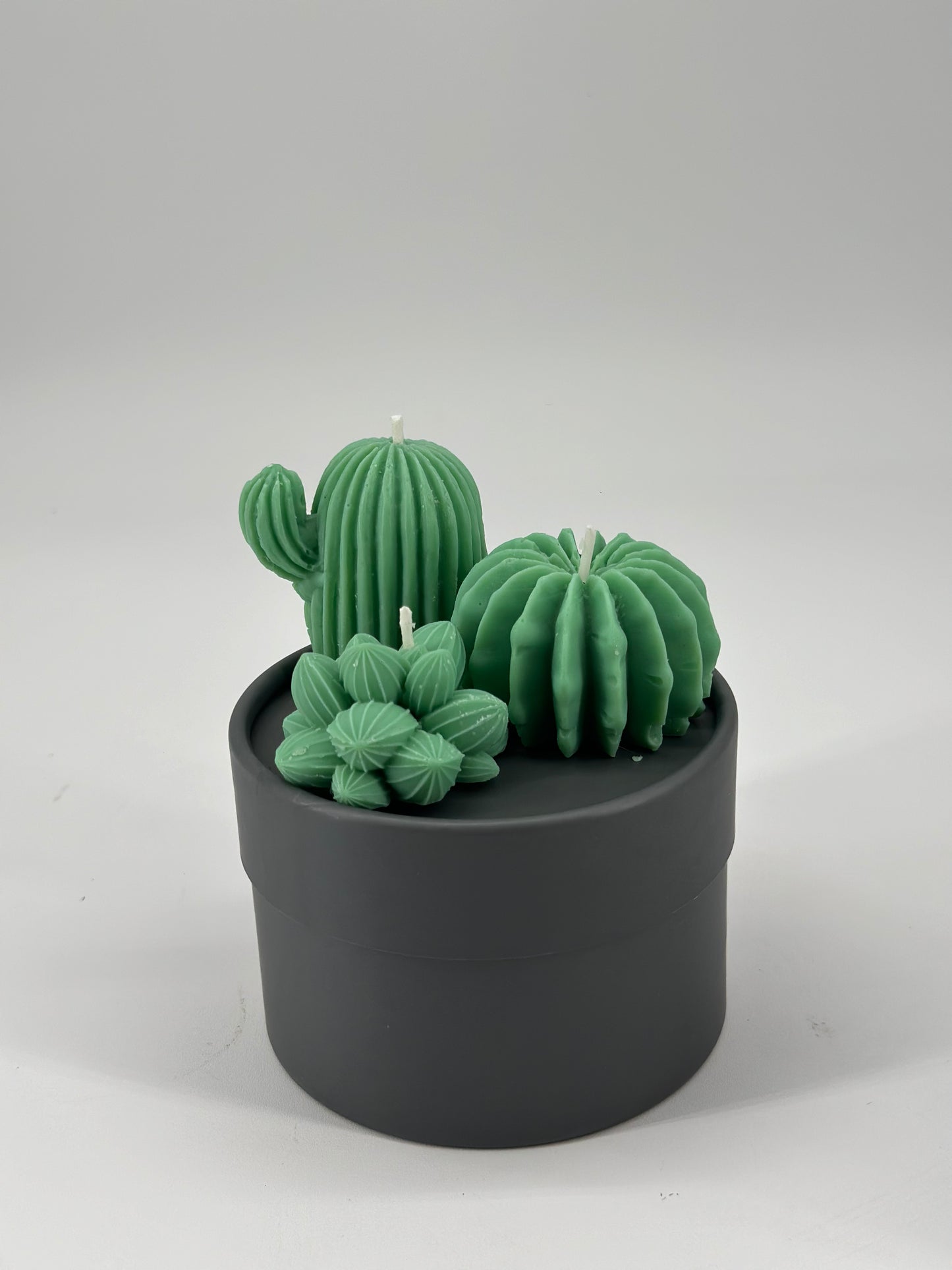 Cacti Trio Pack Candle