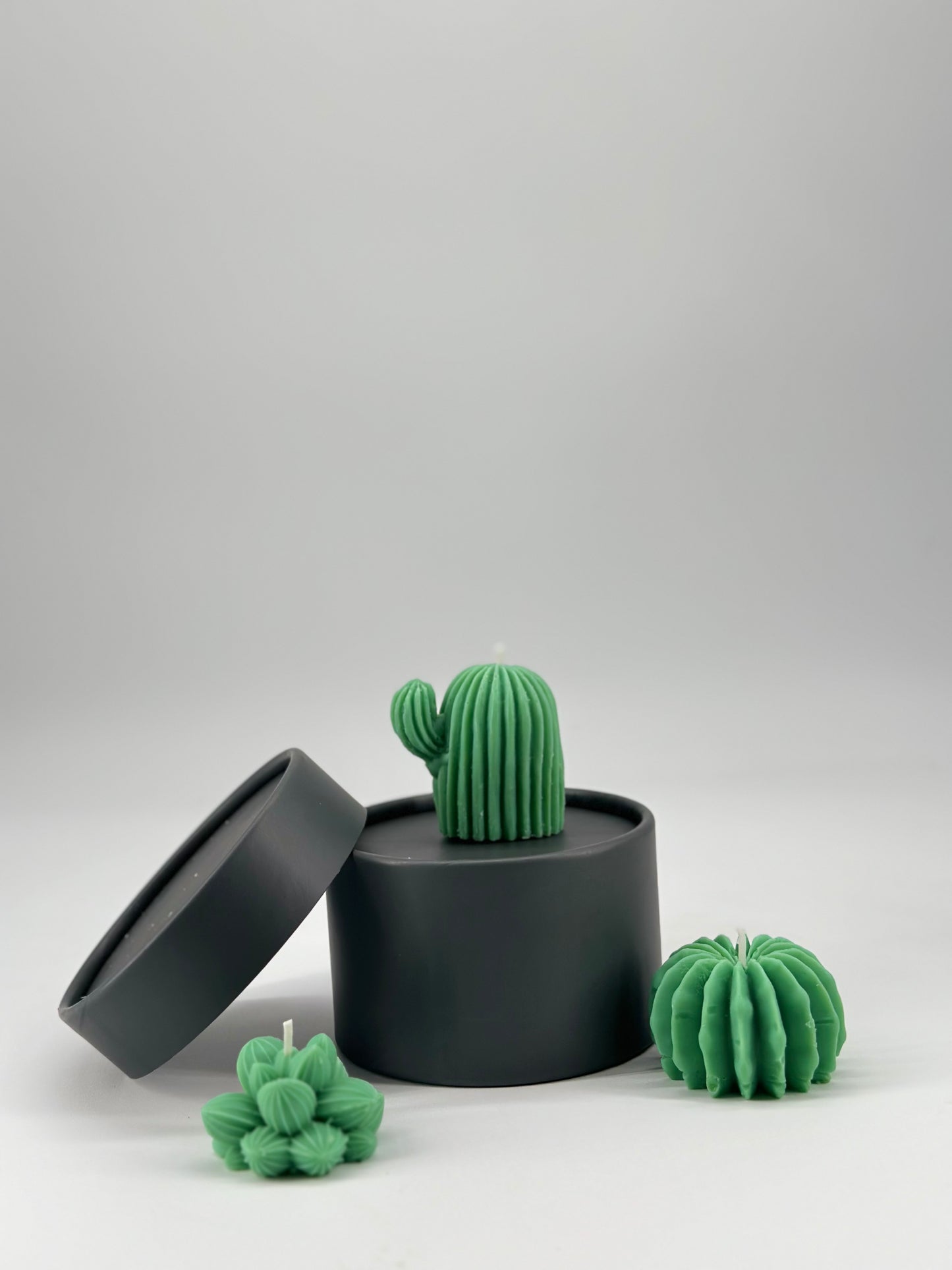 Cacti Trio Pack Candle