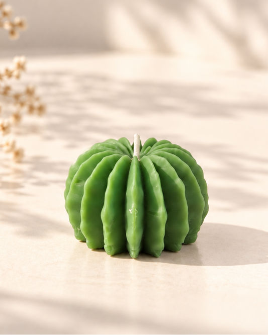 Cacti Lophophora Candle